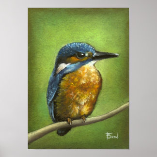 Kingfisher Poster