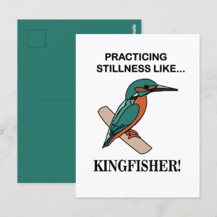 Kingfisher Practicing Stillness Like Kingfisher Postcard