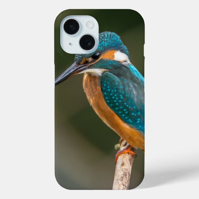 Kingfisher Profile Photo Case-Mate iPhone Case (Back)