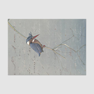 Kingfisher Reflection French Script Vintage Bird Tissue Paper