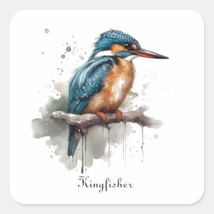 Kingfisher sitting on a branch, customisable square sticker