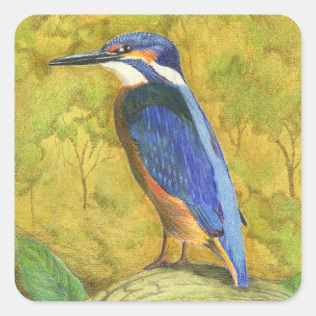 Kingfisher Square Sticker (Front)