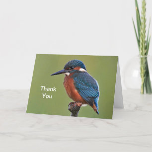 Kingfisher Thank You Card