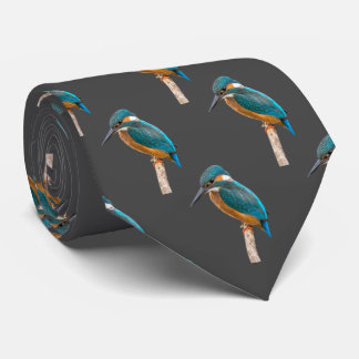 Kingfisher Tie