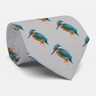 Kingfisher Tie