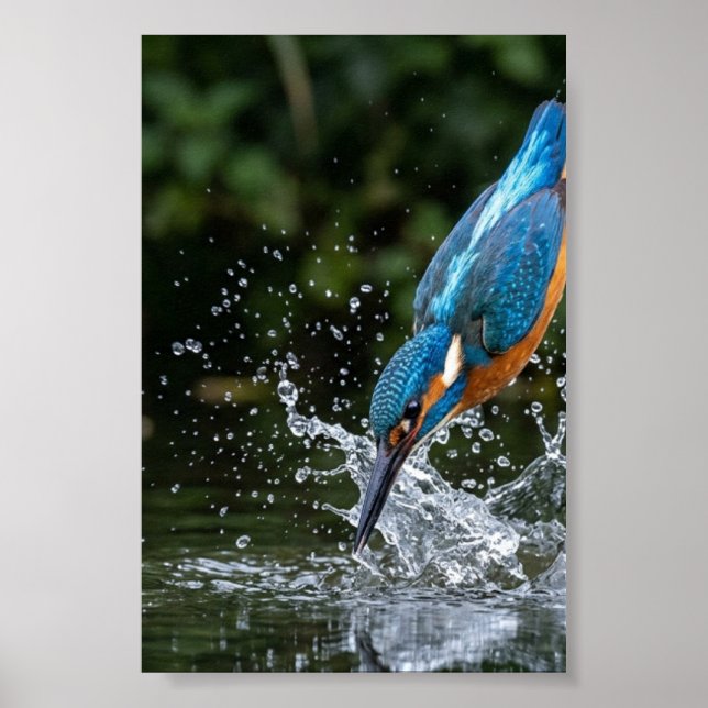Kingfisher Touching Water Colourful Matte Poster (Front)