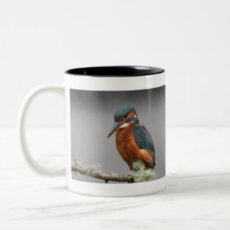 Kingfisher Two-Tone Coffee Mug