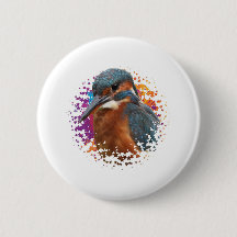 Kingfisher with colourful background