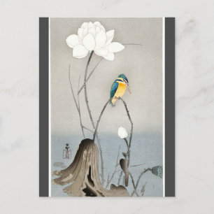 Kingfisher with Lotus Flower Ohara Koson charcoal Postcard