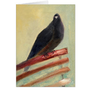 Kingly Court Pigeon 2013