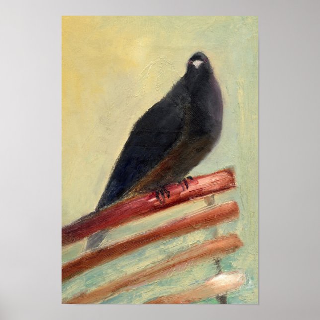 Kingly Court Pigeon 2013 Poster (Front)