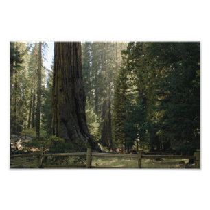 Kings Canyon National Park Photo Print