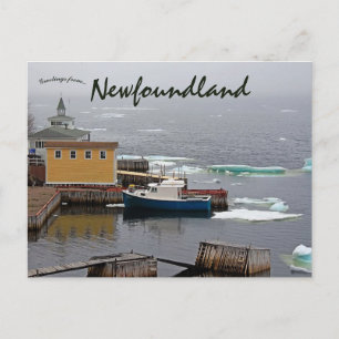 King's Point Newfoundland Canada Postcard