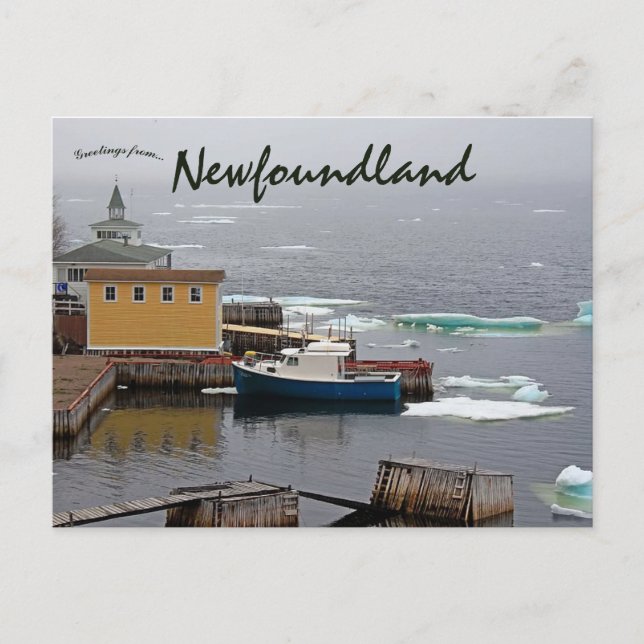 King's Point Newfoundland Canada Postcard (Front)