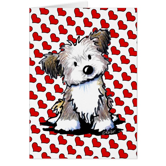 KiniArt Havanese (Front)