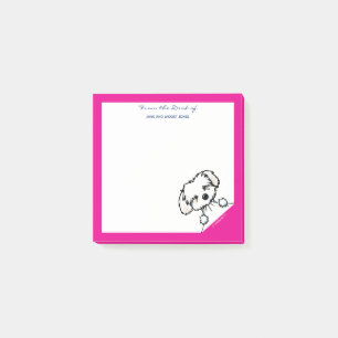 KiniArt Havanese Notes