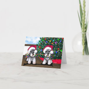 KiniArt Miniature Schnauzer Christmas Card