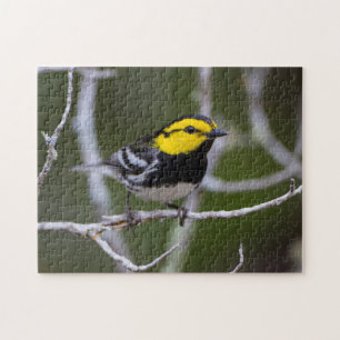 Kinney County, Texas. Golden-cheeked Warbler Jigsaw Puzzle