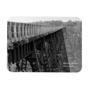 Kinzua Bridge Skywalk B&W Autumn Souvenir Fridge Magnet