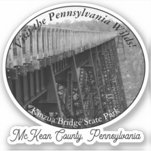 Kinzua Bridge State Park McKean County PA Souvenir