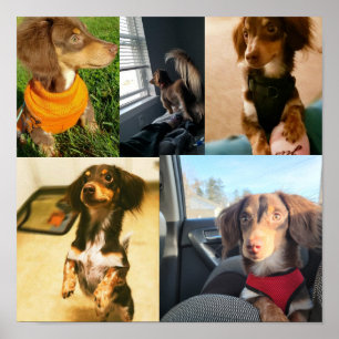 Kio's cute pictures poster