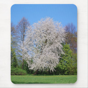 Kirschbaum Mouse Mat