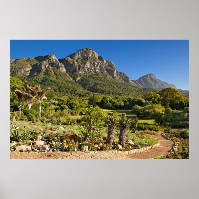 Kirstenbosch Botanic Gardens, Cape Town Poster (Front)