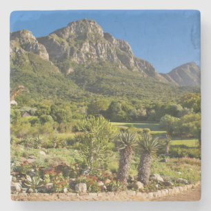 Kirstenbosch Botanic Gardens, Cape Town Stone Coaster