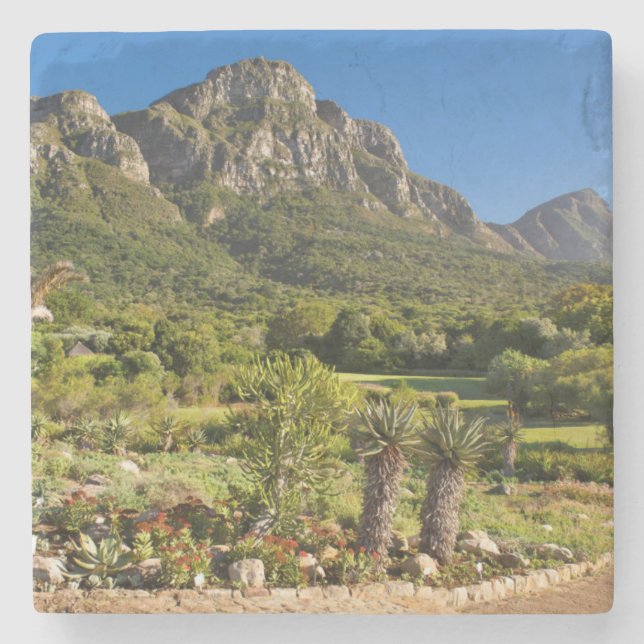 Kirstenbosch Botanic Gardens, Cape Town Stone Coaster (Front)