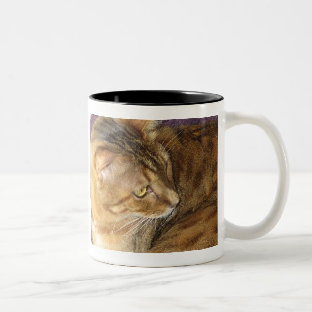 Kishka glitters in gold mug (Right)