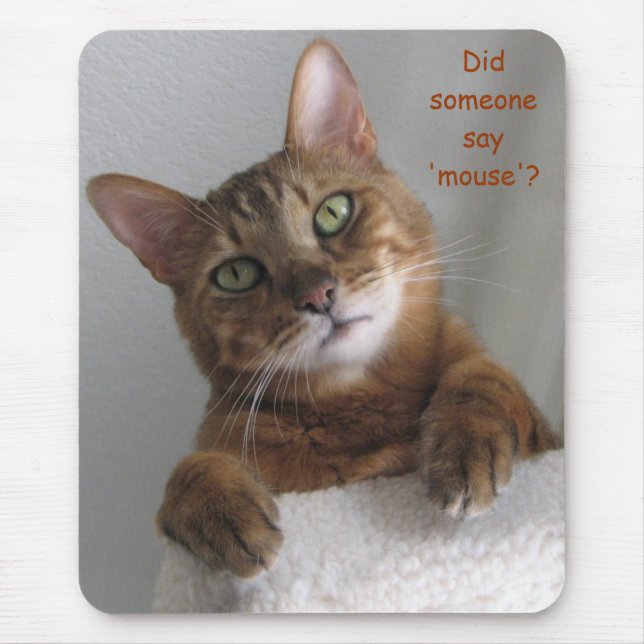 Kishka - mouse? mouse mat (Front)