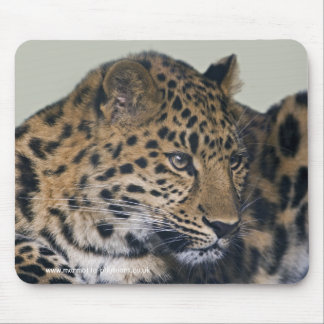 Kiska Mousemat