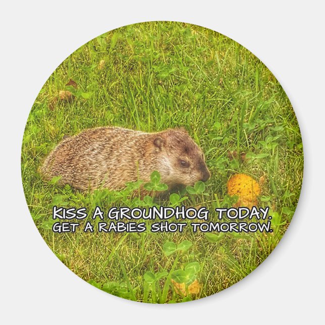 Kiss a groundhog today. Get a rabies shot magnet (Front)