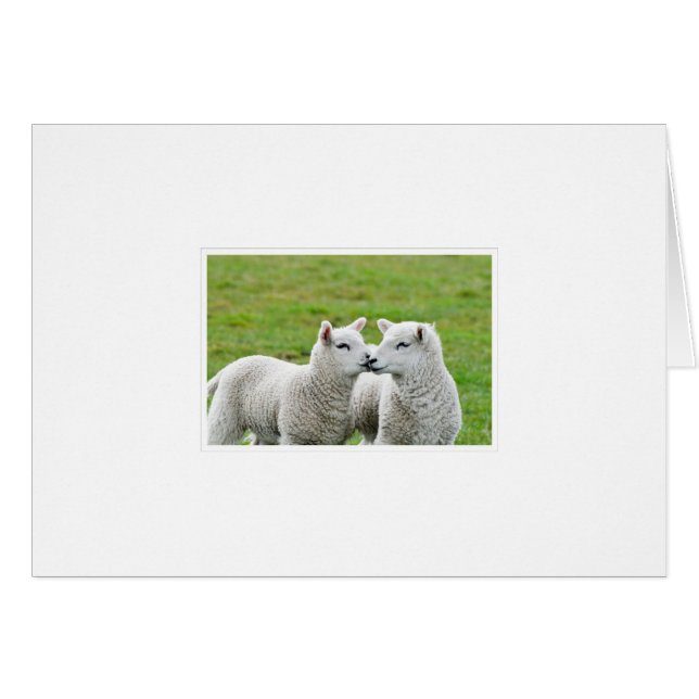 Kiss and Make up (Front Horizontal)