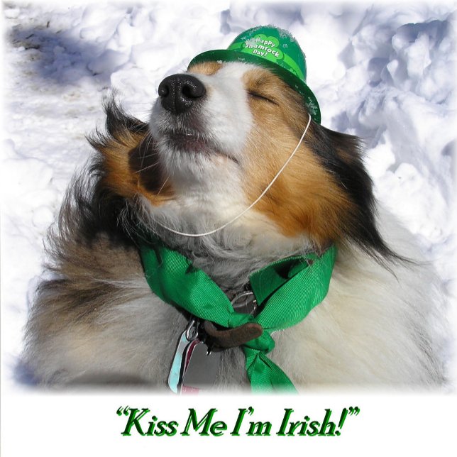 Kiss M e I'm Irish! Adult Apron (Creator Uploaded)