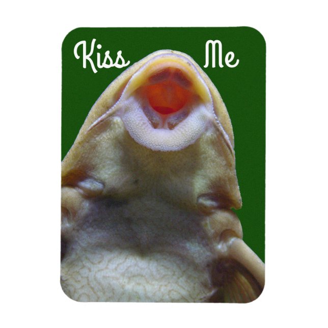 Kiss Me Fish Magnet (Vertical)
