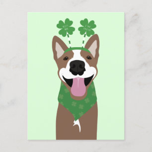 Kiss Me I'm Irish Brown Dog Green Postcard