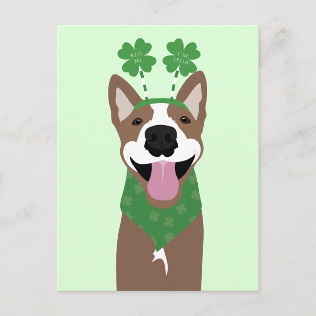 Kiss Me I'm Irish Brown Dog Green Postcard (Front)