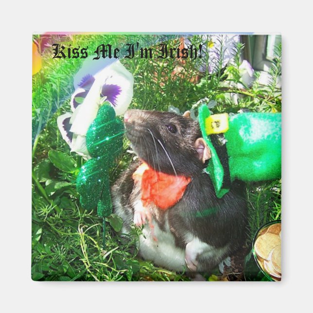 Kiss Me I'm Irish magnet (Front)