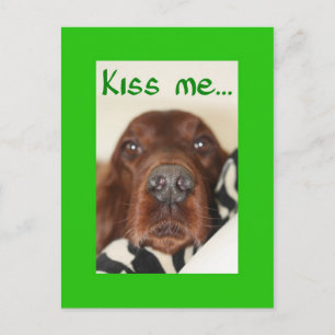 Kiss me, I'm Irish Postcard