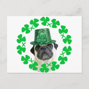 Kiss me i'm Irish pug postcard