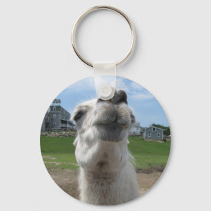 Kiss Me Llama Close-up Key Ring