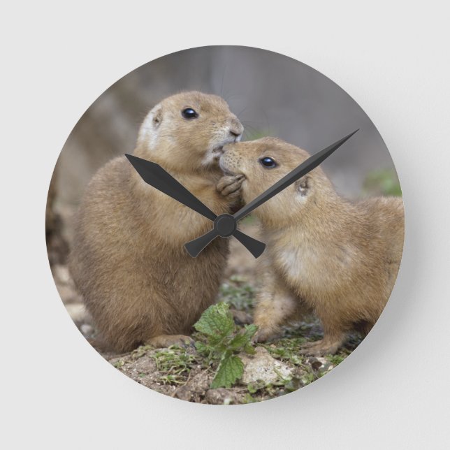 Kiss me Quick Clock (Front)