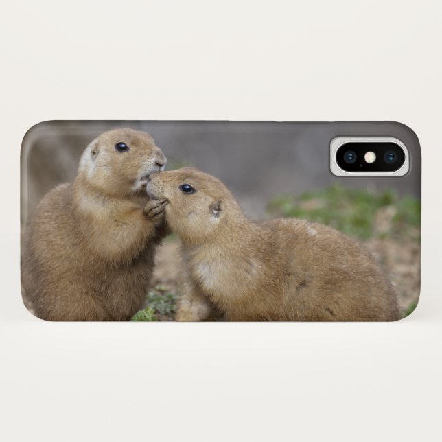 Kiss me Quick iPhone X Case (Back (Horizontal))