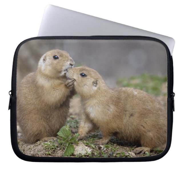 Kiss me Quick Laptop Sleeve (Front)