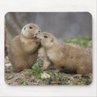 Kiss me Quick Mousemat