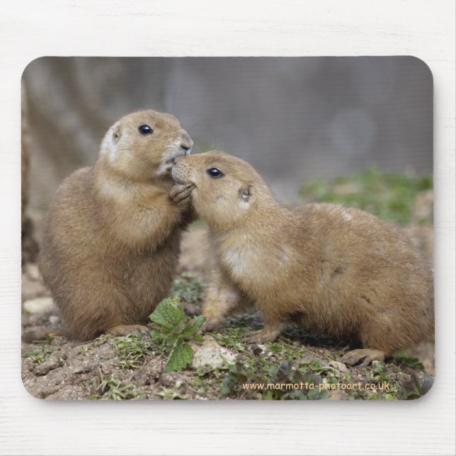 Kiss me Quick Mousemat (Front)