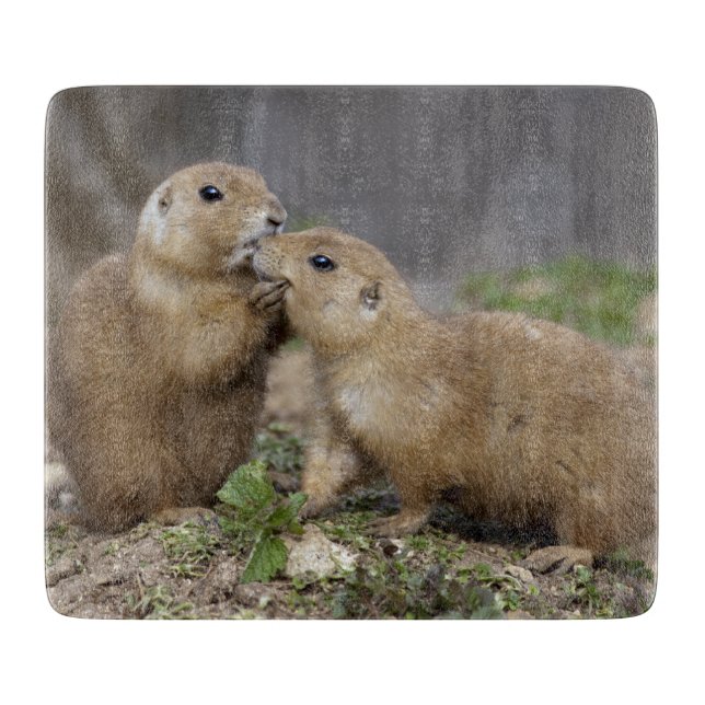 Kiss me Quick Rectangular Cutting Board (Front)