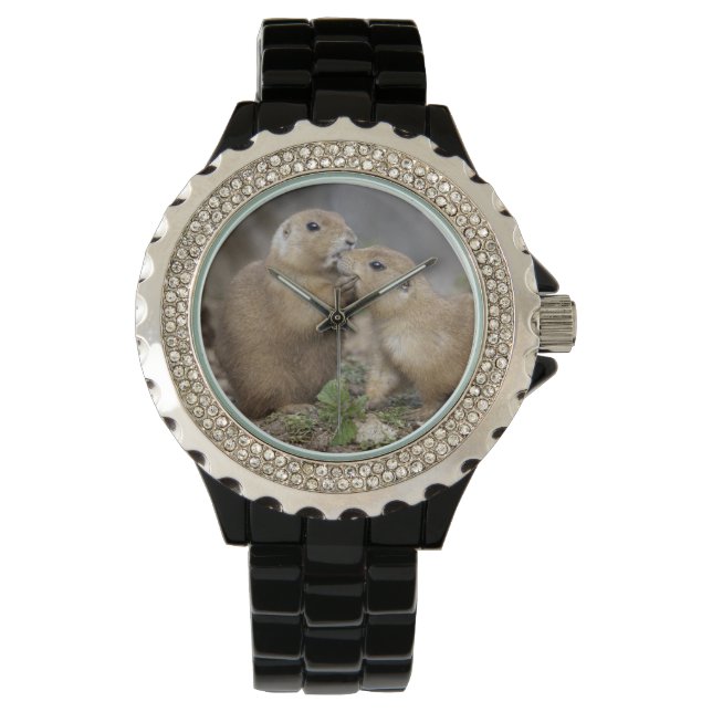 Kiss me Quick Watch (Front)