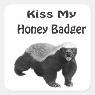 kiss My Honey Badger Square Sticker